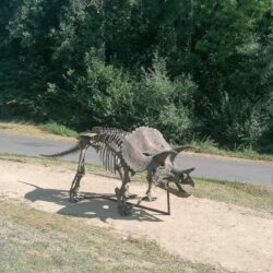 Pas les dinosaures qu'on croise habituellement